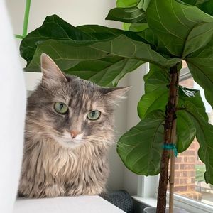 Meet your Posher, Victoria